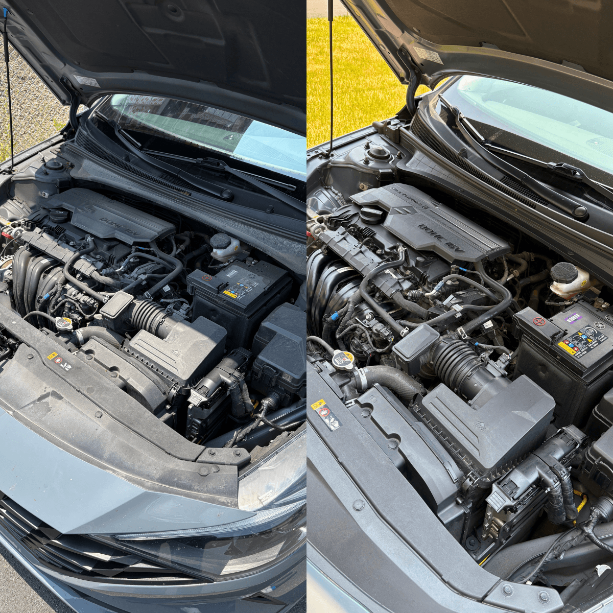 Engine bay cleaning Halifax before and after - professional degreasing showing grease and grime removal