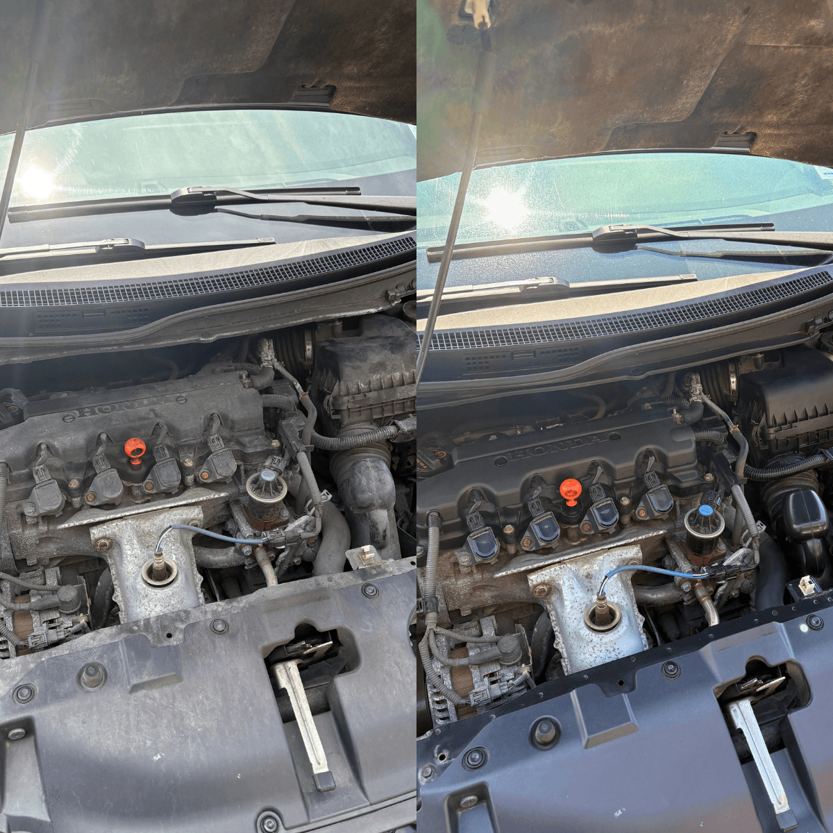 Engine bay cleaning Halifax before and after - complete transformation to factory-fresh appearance