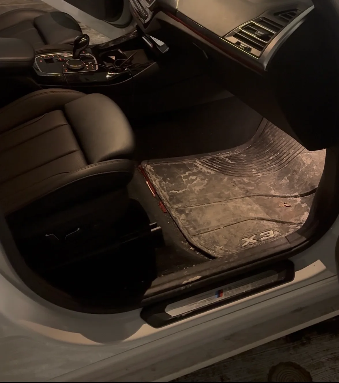 Before Interior Shampoo